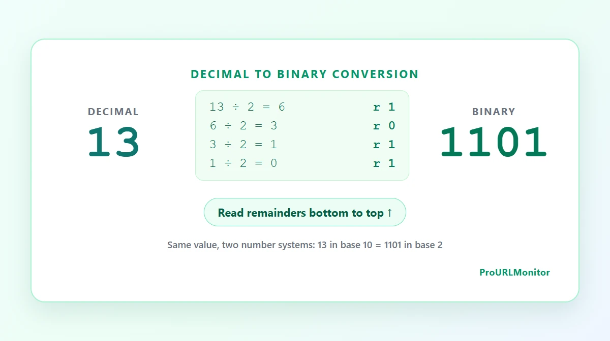 Decimal 13 converted to binary 1101 using repeated division by 2, with remainders read from bottom to top