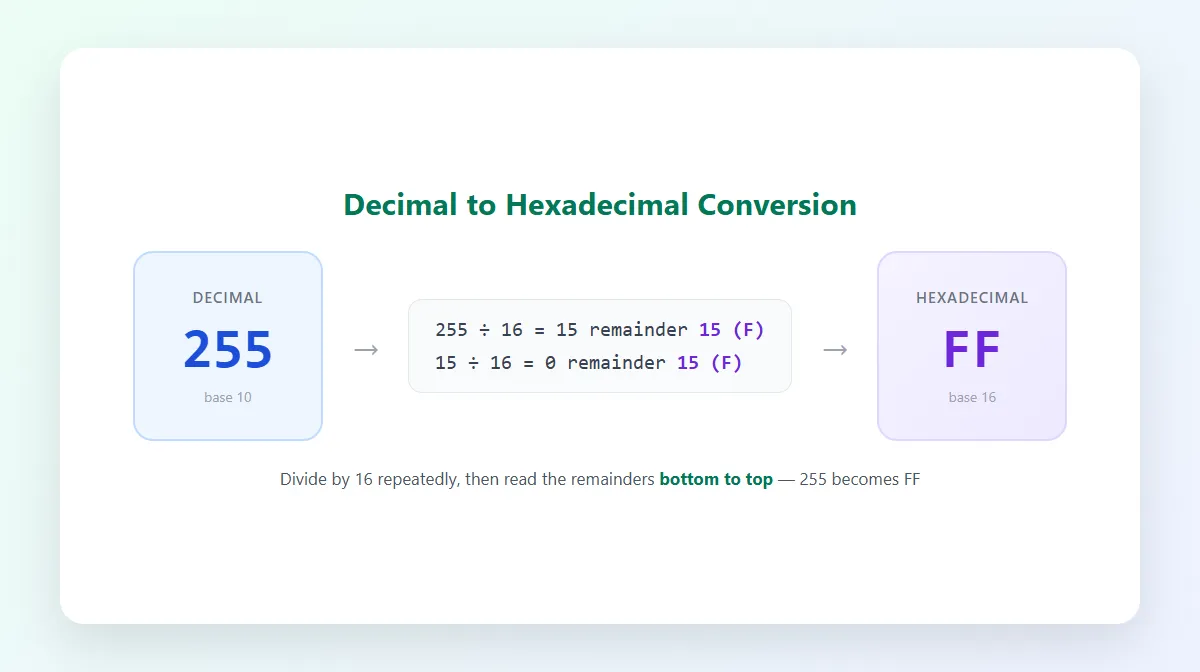 Decimal 255 converted to hexadecimal FF using repeated division by 16, with remainders read from bottom to top